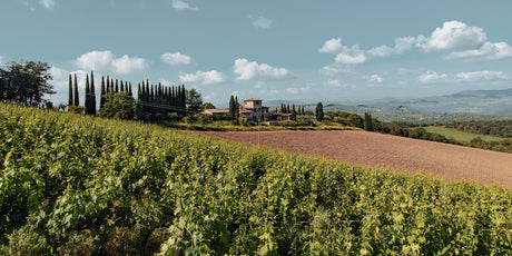 Tenuta Di Carleone